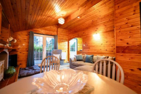 Rural Log Cabin in Snowdonia near Coed y Brenin by Seren Short Stays